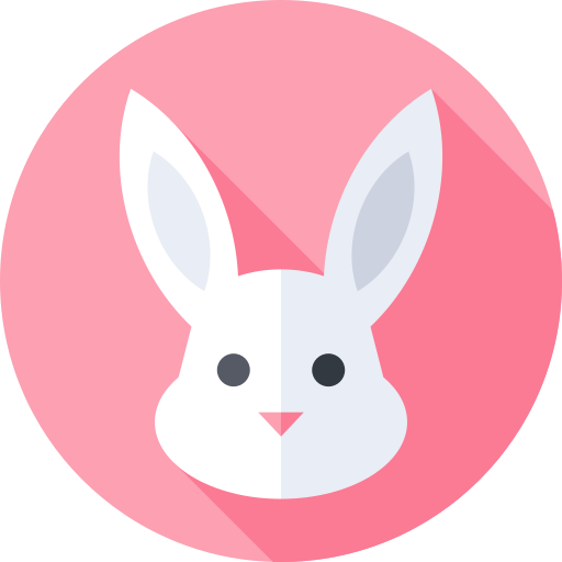 bunny